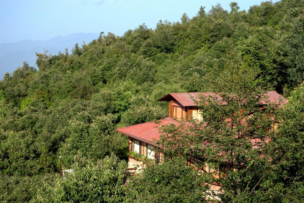 The Misty Mountains Villa Chaukori Екстериор снимка